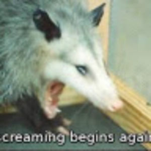 Meet your Posher, Chaney